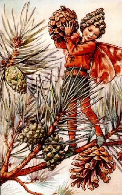 Avec quels fruits s'amuse ce lutin, sur une branche de pin ?