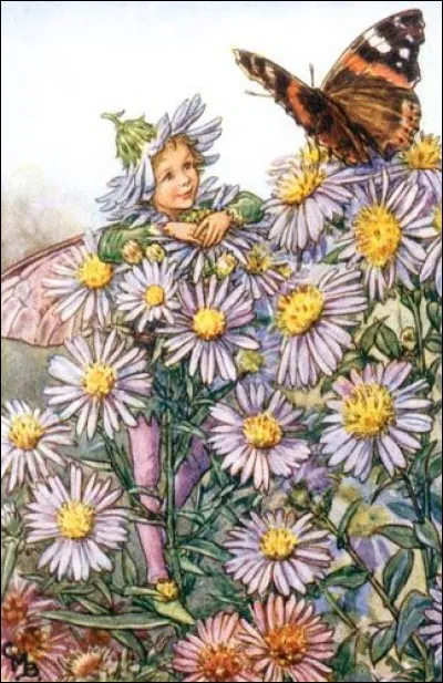 Quel nom porte cette fée entourée de ses fleurs éponymes ?