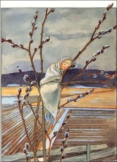 Celle-ci dort sur un saule, au milieu des ...