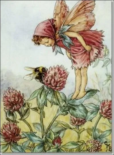 Mais que butine l'abeille ?