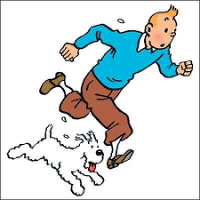 Qui est l'auteur de la bande-dessin&eacute;e "Les aventures de Tintin" ?