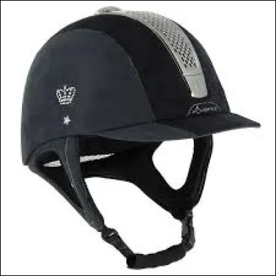 Quel est cet objet servant &agrave; se prot&eacute;ger la t&ecirc;te en &eacute;quitation ?