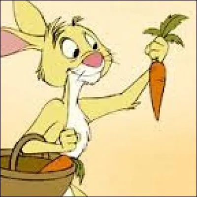 C - Où peut-on voir Coco Lapin ?