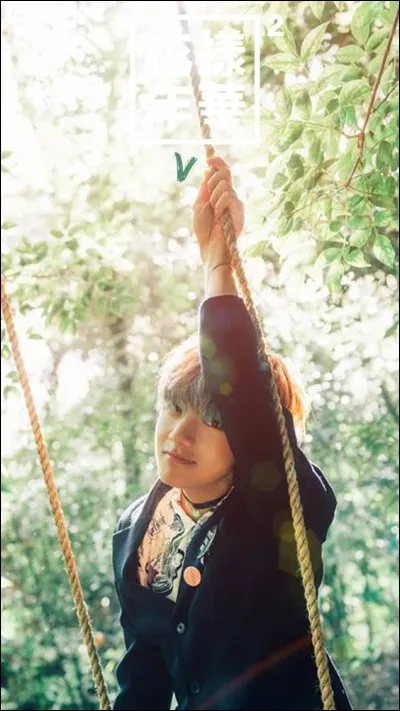 Quels sont les surnoms de Kim Taehung ?