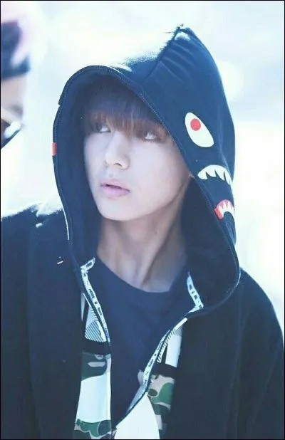 Mais quelle est cette chose ?