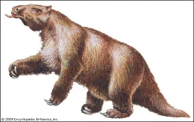 Quel est cet ancêtre du paresseux ?