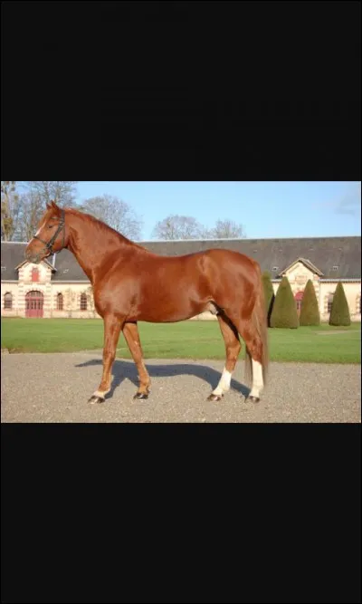 Quelle est cette robe ?