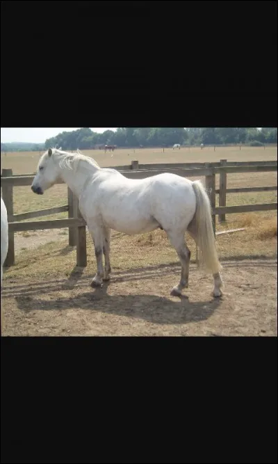 Quelle est cette robe ?