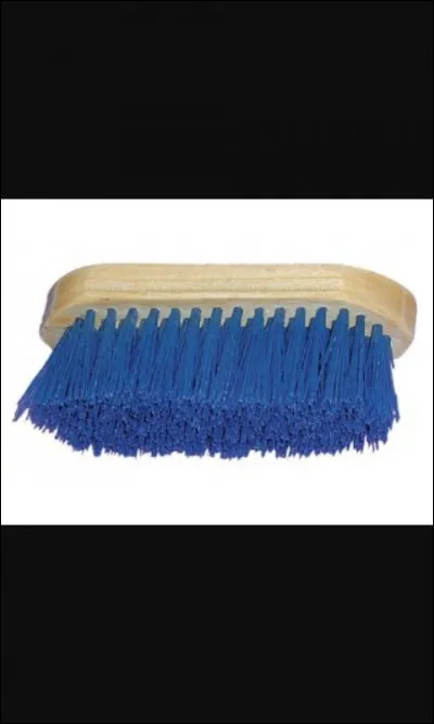 Quelle est cette brosse ?