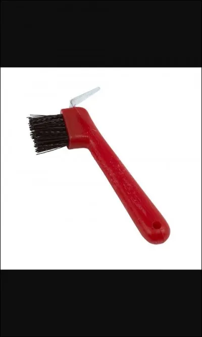 Quelle est cette brosse ?