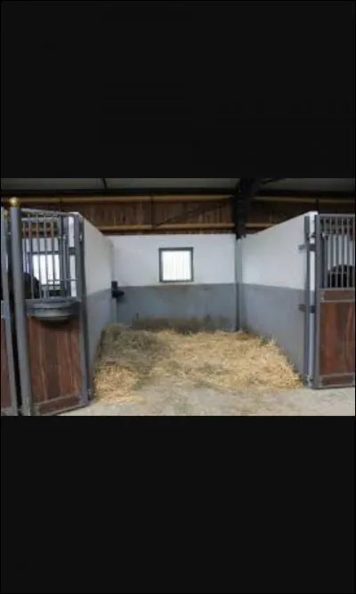 Qu'est-ce que c'est ?