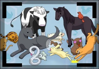 Quelle recommandation leur fit-il à cette occasion ?