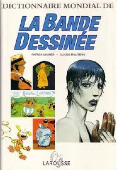 La bande dessinée est aussi appelée le 