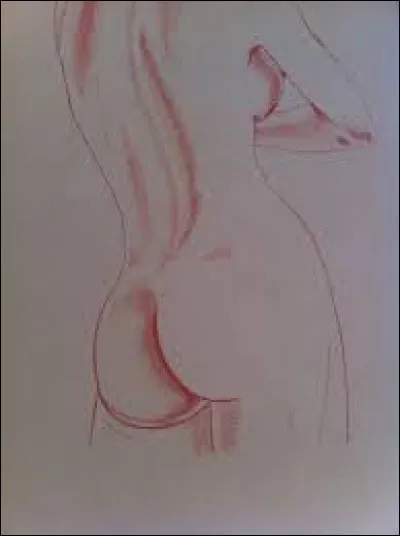 Que désigne-t-on par le "con" depuis le XIe siècle ?