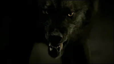 Quelle créature est Tyler ?