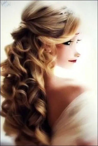 Ce sont des princesses de :