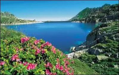 Dans quel département peut-on visiter Tarare ?