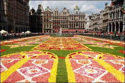 À l'aide de ce tapis de fleurs et de l'image, trouver le pays.