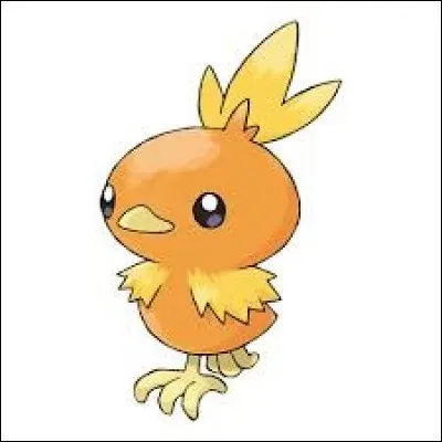 Comment s'appelle ce Pokémon ?