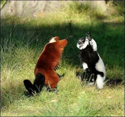 D'o&ugrave; vient l'expression "mano &agrave; mano" ?