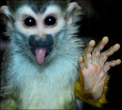 Film de 1990, avec Johnny Depp dans le r&ocirc;le titre !