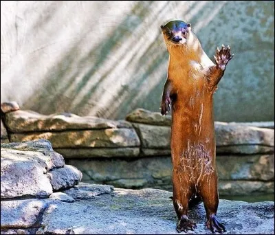 Citation : Donne tes mains pour servir et ton coeur pour aimer !