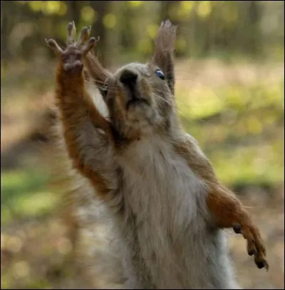 Trouvez le ou les interpr&egrave;tes de cette chanson : Parle &agrave; ma main !