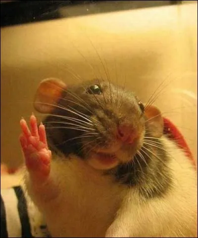 Agir en douce, en secret !