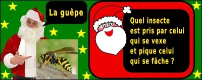 Quelle est la bonne réponse ?