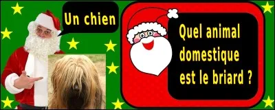 Quelle est la bonne réponse ?