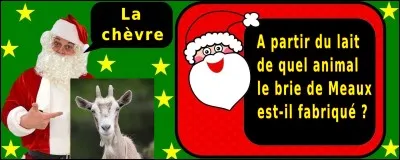 Quelle est la bonne réponse ?