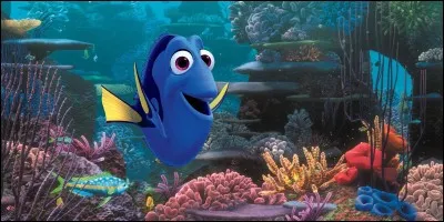 Dory aime beaucoup...