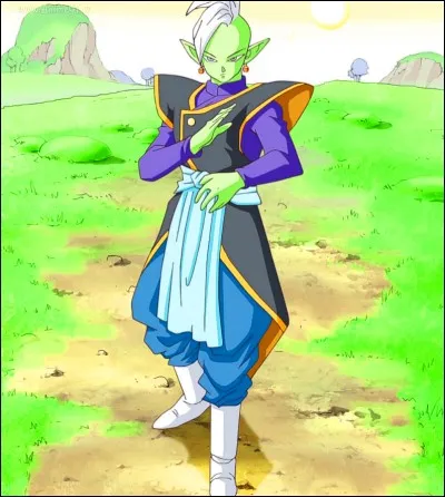 Qui est Zamasu ?