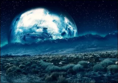 Pour lui, le coquelicot est un peu fleur bleue.