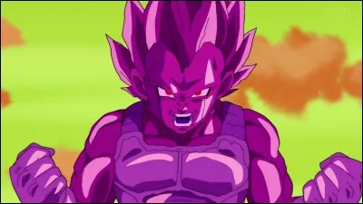 En quelle transformation se change Copy-Vegeta contre Gokû ?