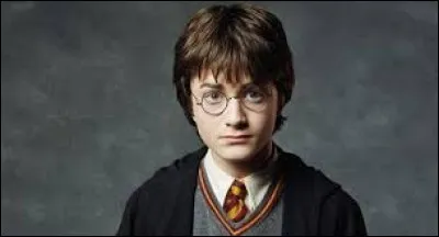 Quelle est la forme des verres des lunettes du célèbre Harry Potter ?