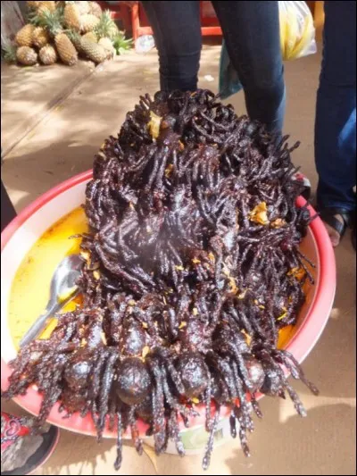 Malheureusement il n'y a plus de pingouins en réserve, ils se sont tous enfuis avec du poisson en butin. Le cuisinier, qui est cambodgien, vous propose de manger une mygale comme on le fait chez lui. Est-il en train de vous raconter des bobards ?