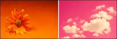 Orange et rose... qu'est-ce que cela produit ?