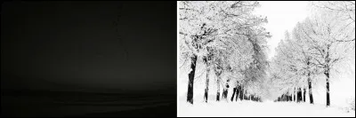 Nous avons bientôt fini notre tournée des couleurs. En effet, le noir et le blanc font...