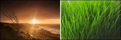 Enfin, la farandole de couleurs prend fin avec l'association du marron et du vert, le...