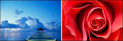 On enchaîne avec une couleur qui provient du mélange du bleu et du rouge. Quelle est-elle ?