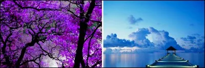 On continue notre visite des couleurs avec celle qui associe le violet et le bleu. C'est...