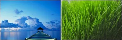 Quelle jolie couleur est un mélange de bleu et de vert ?