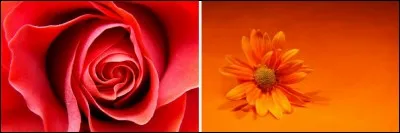 Maintenant, ce sont les mélanges avec du rouge qui sont à l'honneur ! Quelle couleur provient du rouge et de l'orange ?