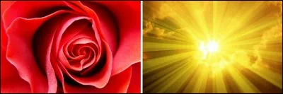 Quelle jolie couleur nous donnent le rouge et le jaune ?