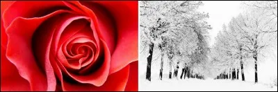 Notre petit tour des couleurs se poursuit avec un mélange de rouge et de blanc. Cela donne...