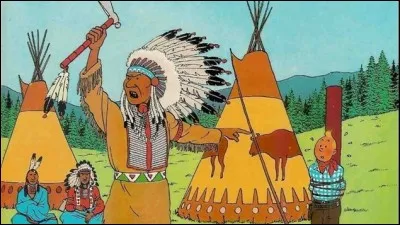 Comment s'appelle la tribu des Indiens en Amérique ?