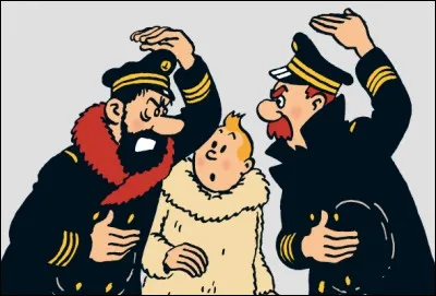 Dans quelle aventure de Tintin, cette image apparaît-elle ?