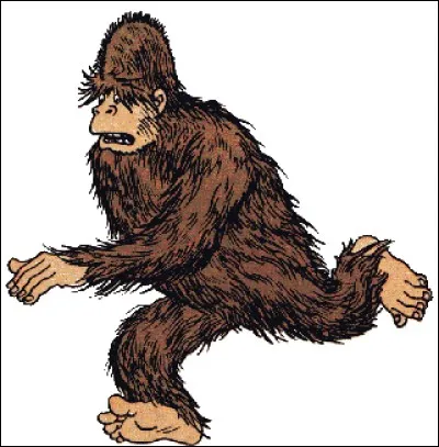 Comment s'appelle le yéti ?