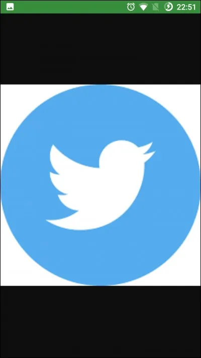 Quel est ce réseau social ?